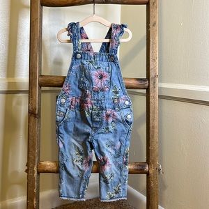 Gap Denim Baby Wildflower Overalls